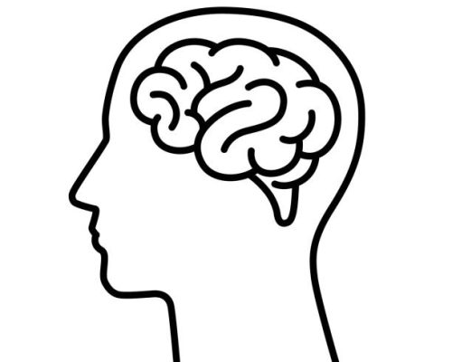 Brain and human head icon Brain and human head icon